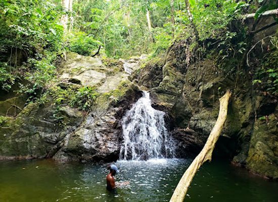 trinidad-and-tobago/tobago/attraction/parlatuvier-waterfall