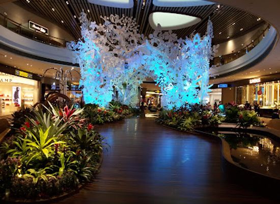 singapore/changi/attraction/orchid-garden-koi-pond