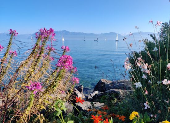 switzerland/vaud/attraction/expo-fondation-bolle