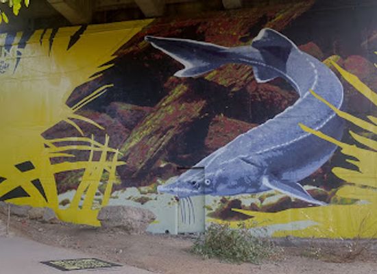 romania/dobrogea-plateau/attraction/mural-by-taci41