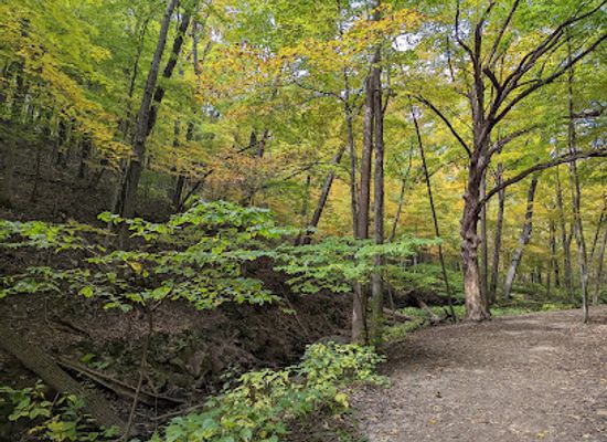 wisconsin/ice-age-trail/attraction/parfrey-s-glen-state-natural-area