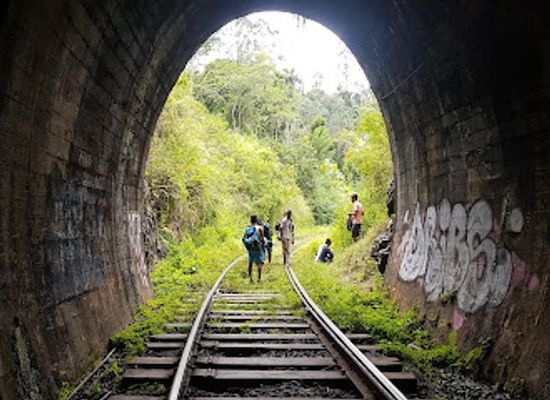 sri-lanka/ella/attraction/gotuwala-ella