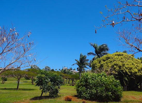 new-caledonia/baie-des-citrons/attraction/parc-du-receiving-georges-brunelet