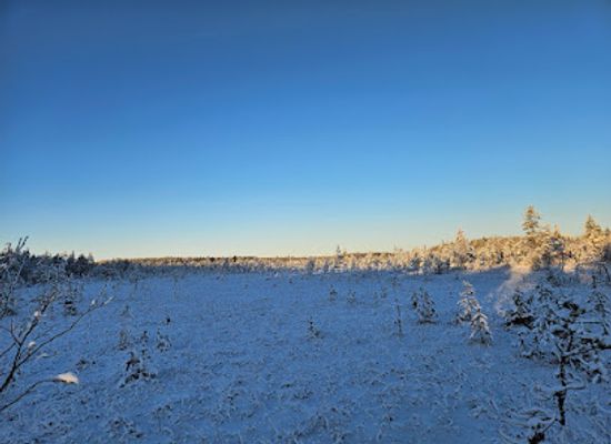finland/north-ostrobothnia/attraction/martimoaapa