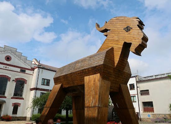 czechia/east-bohemia/attraction/pivovar-velke-popovice