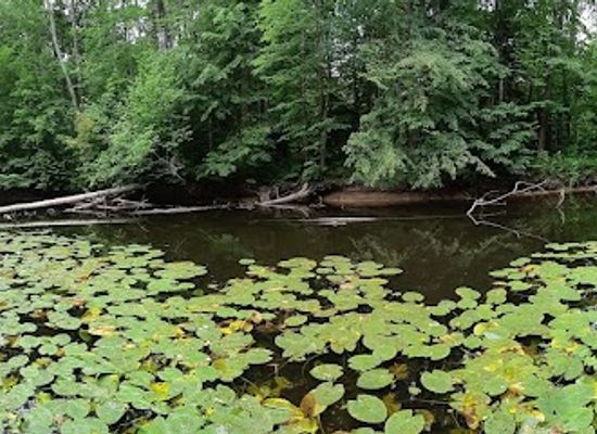 estonia/soomaa-national-park/attraction/paasma-taluase