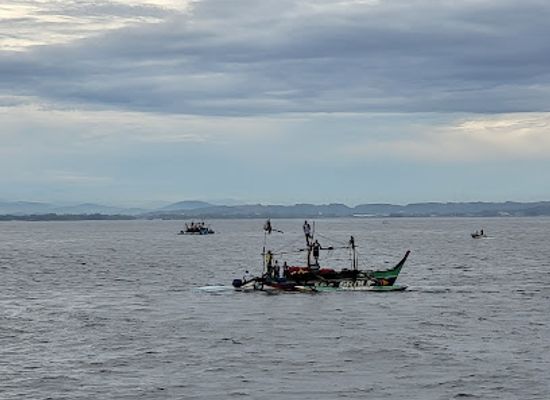 sri-lanka/matara-district/attraction/mirissa-whale-explorers