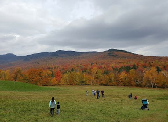 vermont/lamoille-county/attraction/stowe-mountain-resort