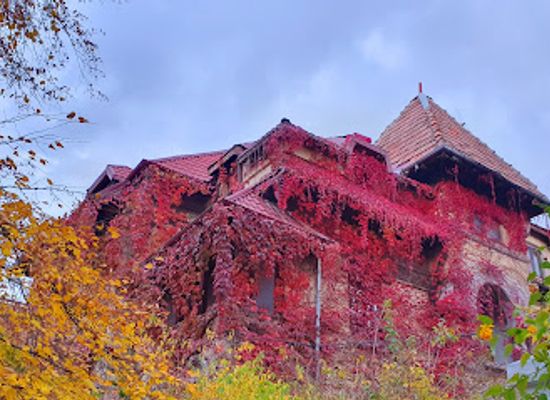romania/ilfov/attraction/muzeul-hartilor