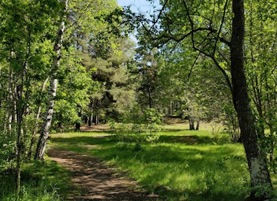 sweden/vasteras/attraction/silverkullen
