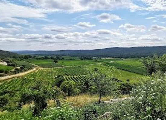 france/languedoc/attraction/castle-lancyre-wines-in-pic-saint-loup