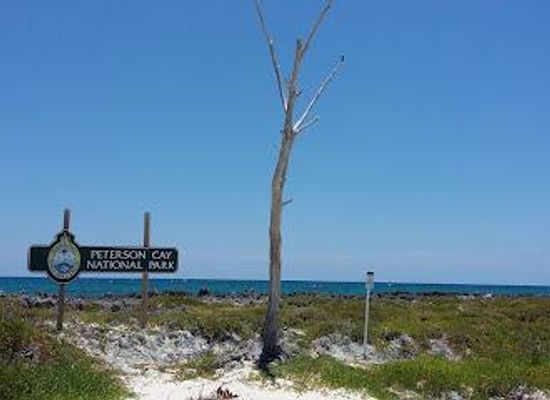 the-bahamas/lucaya/attraction/peterson-cay-national-park
