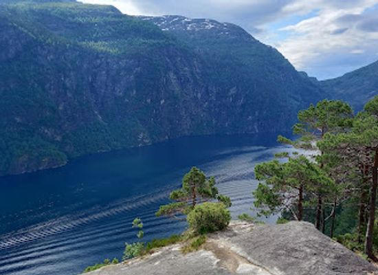 norway/vestlandet/attraction/slottet