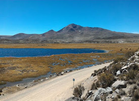 chile/arica/attraction/parque-nacional-lauca