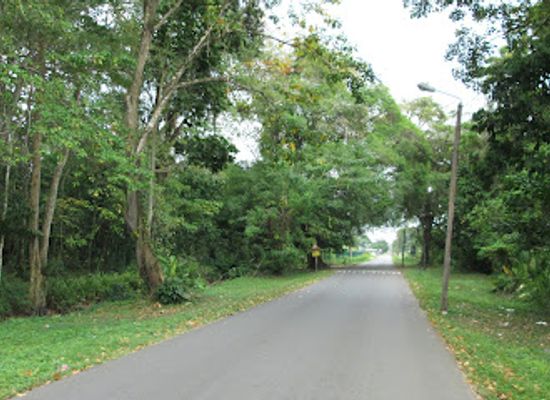 suriname/paramaribo/attraction/cultuurtuin