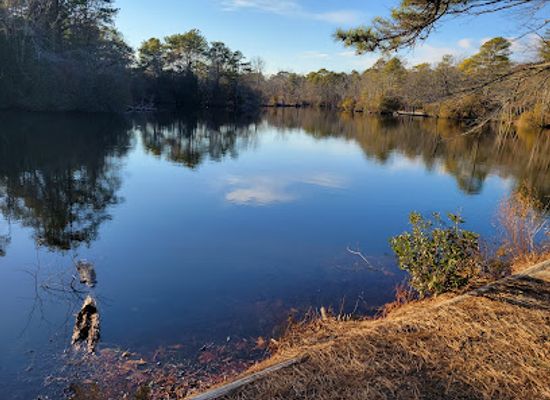new-jersey/south-jersey/attraction/park-north-cameron-wildlife-sanctuary