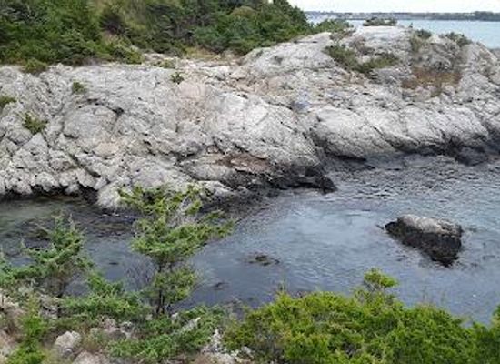rhode-island/arcadia-management-area/attraction/fort-wetherill-state-park