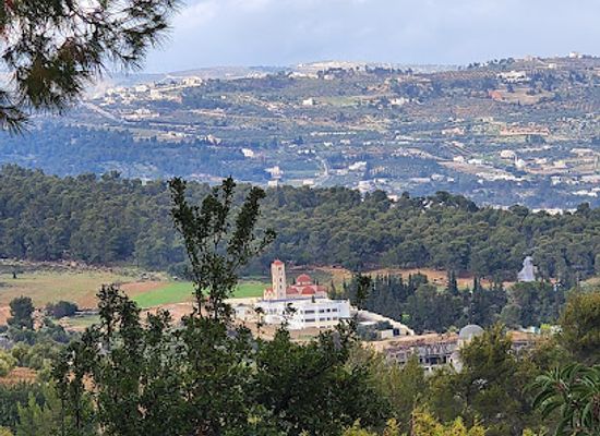 jordan/ajloun-highlands/attraction/dibeen-forest-sanctuary