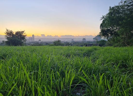 philippines/national-capital-region-ncr/attraction/temple-drive-overlook