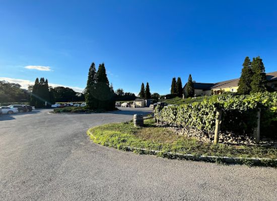 new-york/the-hamptons/attraction/wolffer-estate-vineyard