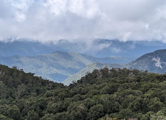 australia/new-england/attraction/wrights-lookout-walking-track