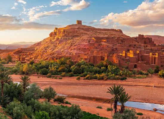 morocco/tensift/attraction/camel-ride-marrakech