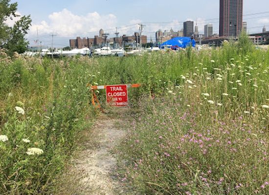 new-york/buffalo/attraction/times-beach-nature-preserve