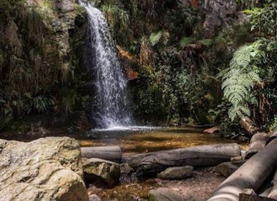 colombia/bogota/attraction/quebrada-las-delicias