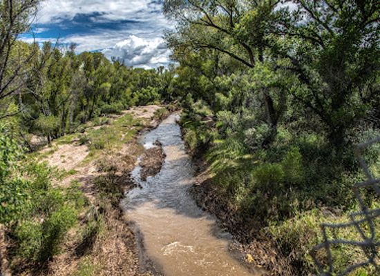 arizona/huachuca-mountains/attraction/battle-of-the-bulls