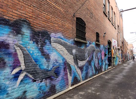 idaho/sandpoint/attraction/galaxy-gallery