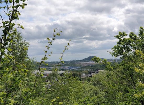 luxembourg/minette/attraction/sentier-nature-et-foret-prenzebierg-giele-botter