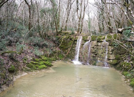 croatia/istrian-peninsula/attraction/skarline-nature-park