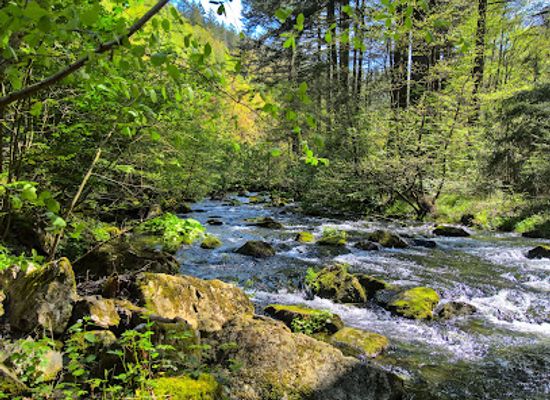 belgium/malmedy/attraction/pont-pieton-sur-la-warche