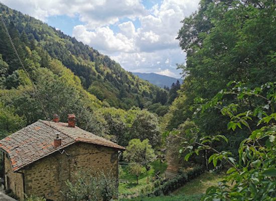 italy/casentino/attraction/monastery-of-camaldoli