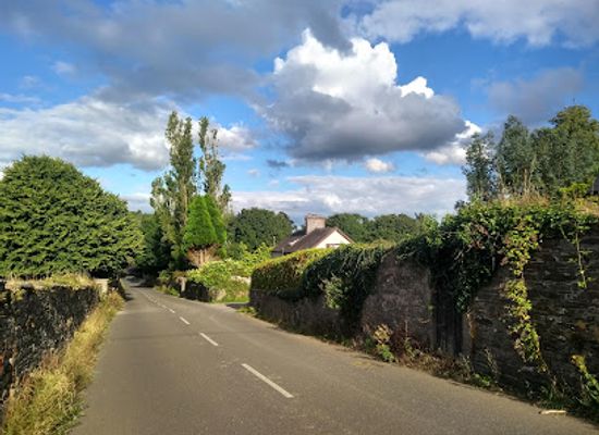 ireland/county-cork/attraction/cuskinny-marsh
