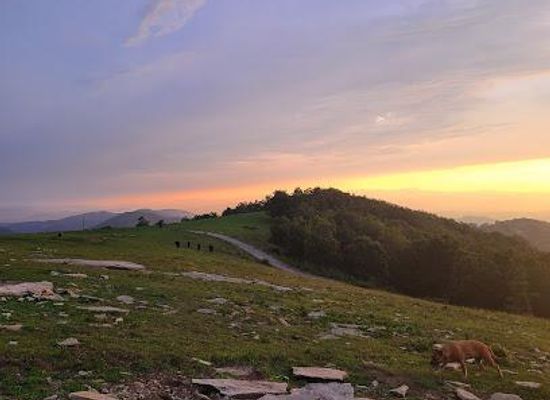 north-carolina/blue-ridge-mountains/attraction/bearwallow-mountain-trail