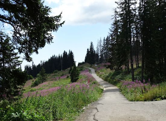 bulgaria/vitosha-mountain/attraction/vitosha-outdoor-center