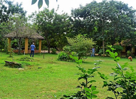 india/east-india/attraction/amadubi-panijiya-rural-tourism-centre
