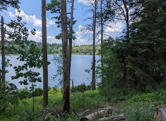 minnesota/itasca-state-park/attraction/preacher-s-grove