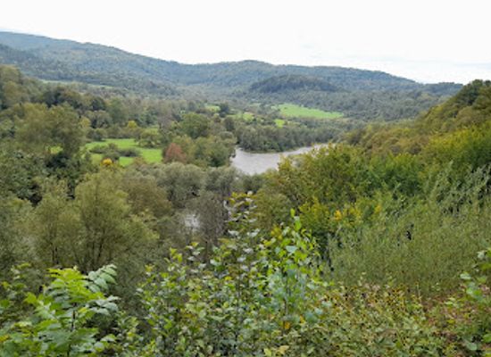 poland/bieszczady-mountains/attraction/krywe-rezerwat-przyrody