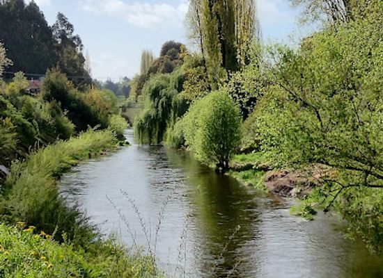 chile/osorno/attraction/cuarto-centenario-park