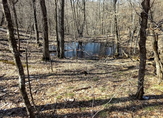 minnesota/big-woods/attraction/birch-lakes-state-forest