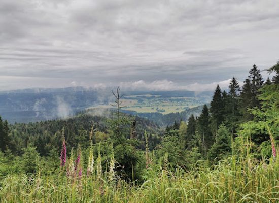 czechia/eagle-mountains/attraction/jeleni-lazen
