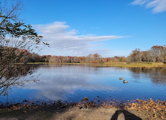 new-york/long-island/attraction/twin-lakes-preserve