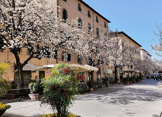 italy/lucca/attraction/corso-garibaldi