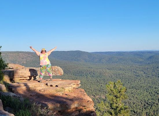 arizona/mogollon-rim/attraction/mogollon-rim-viewpoint