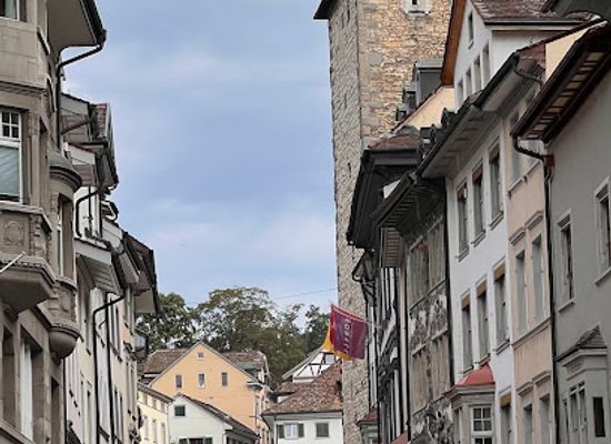 switzerland/schaffhausen/attraction/landsknechtbrunnen