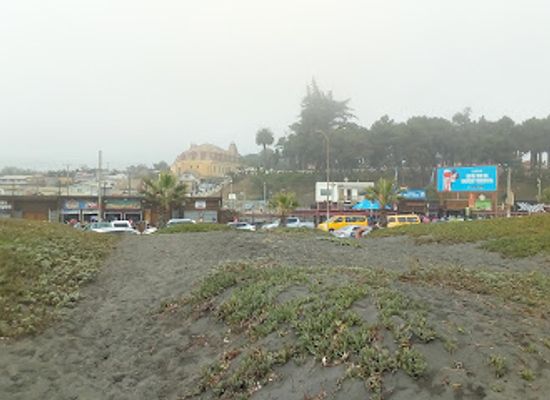 chile/pichilemu/attraction/pasarela-costanera