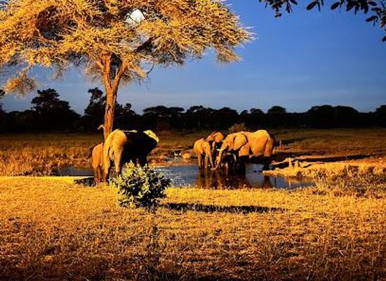namibia/windhoek/attraction/motema-tours-and-safaris-namibia