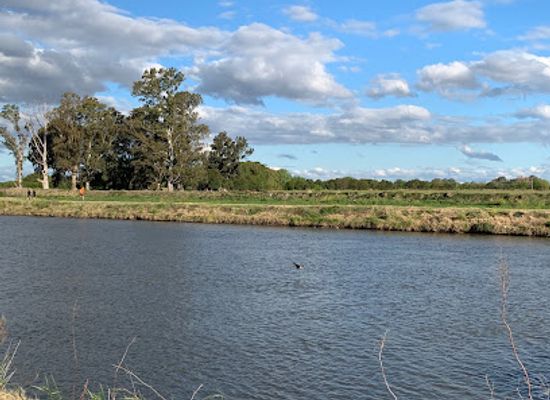 peru/junin/attraction/municipal-intendente-borchex-park